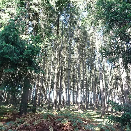 Сasa de vacaciones Les Lhommalinnes *